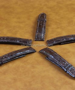 day-dong-ho-da-ca-sau-that